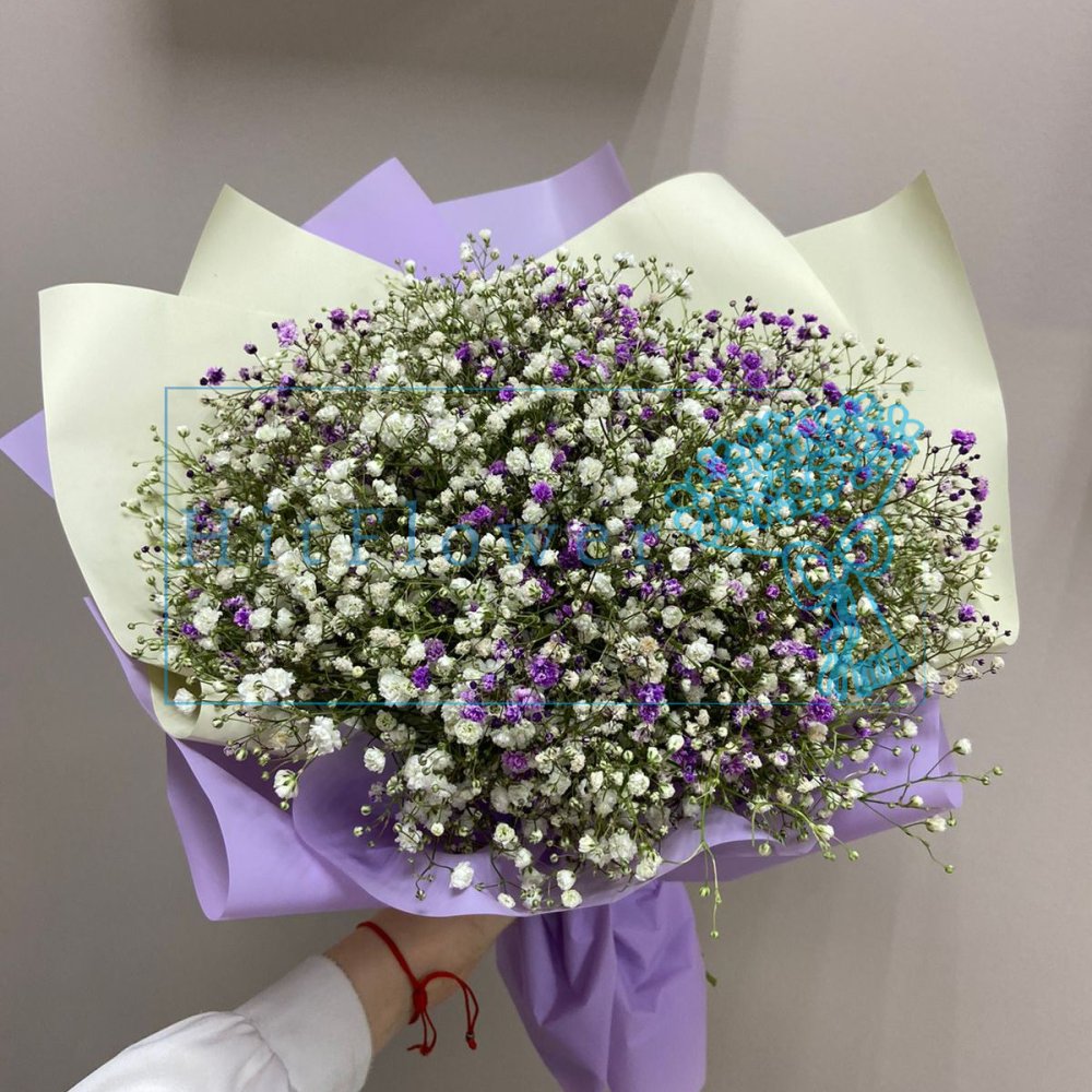 Букет цветов из: Гипсофила